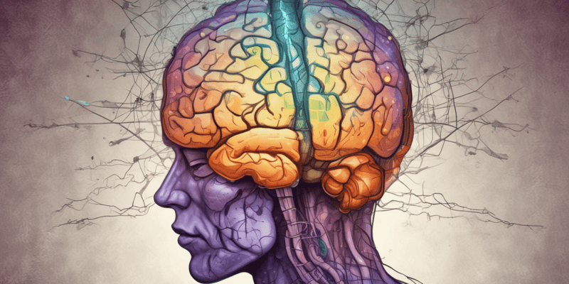 Traumatic Brain Injury (TBI) Quiz
