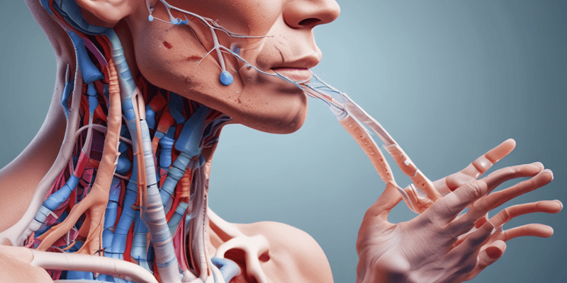 Respiratory System and Nasal Anatomy Quiz