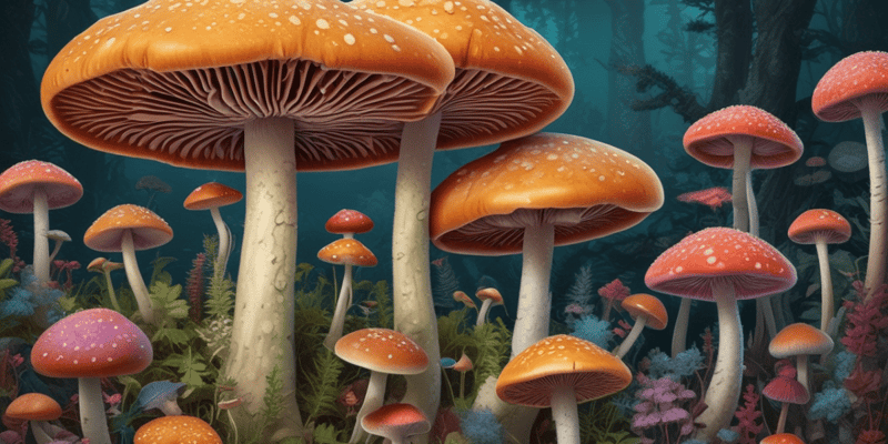9-mushrooms