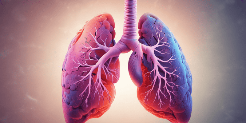 Understanding COVID-19 Lung Diseases