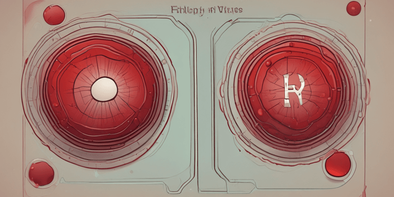 Blood Components and Functions