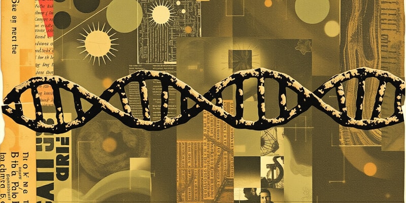 DNA Replication & Transcription Vocabulary