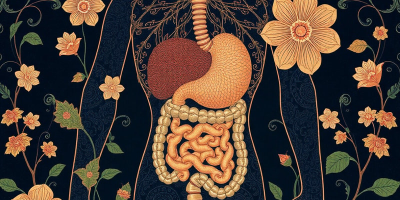 Homeostasis and Body Systems Quiz