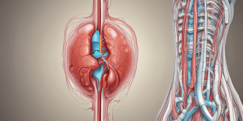 Unit 5: Urinary System Practice