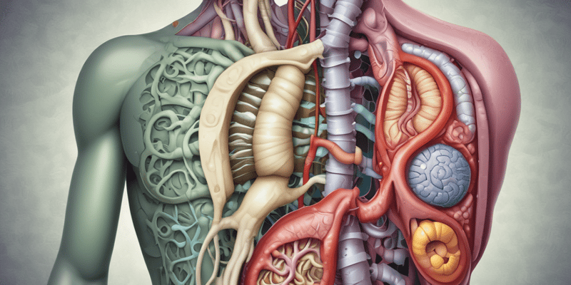 Anatomia. Free Quiz. Enfermedades del Sistema Digestivo.  Quiz 1