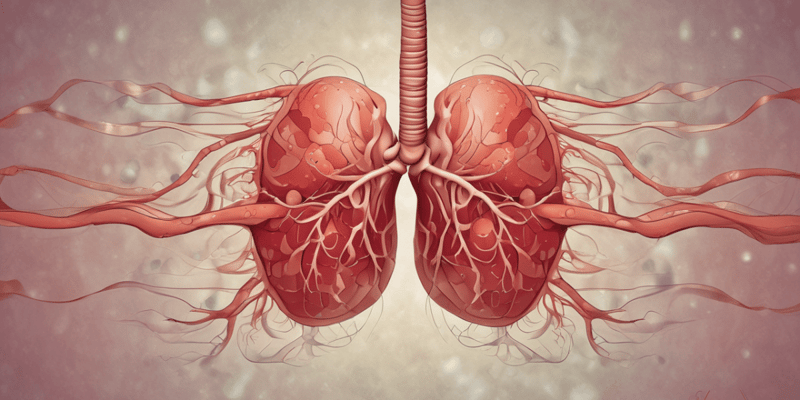 Respiratory System and Blood Gas Levels