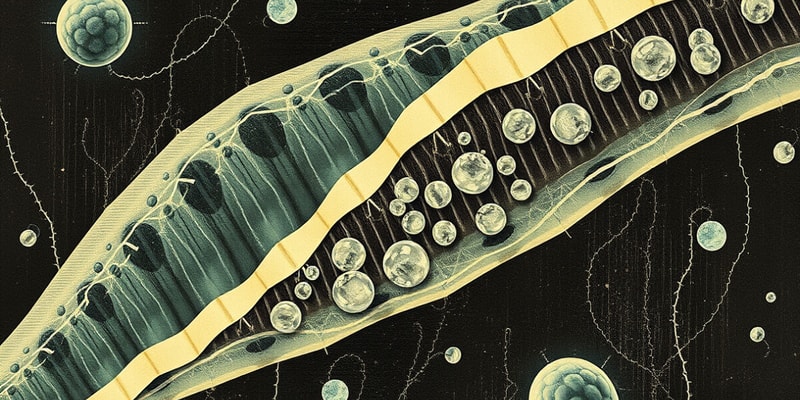 Module 2: Plasma Membrane & Proteins (HARD)