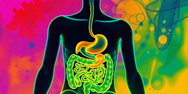 Digestive System Contrast Procedures Quiz