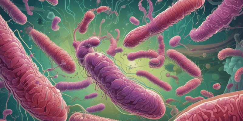 E. coli Infections and Characteristics