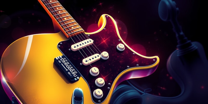 Fender Stratocaster Electric Guitar Quiz