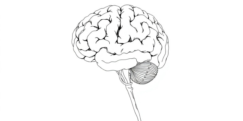 Conductive Abnormalities and Degenerative Diseases