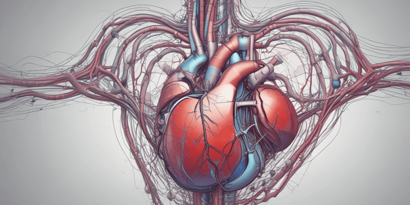 Initiation of Heartbeat: Cardiac Pacemaker and Electrical Events