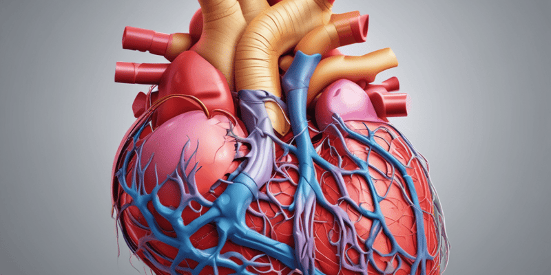 Anatomy of the Heart: Left Atrium and Left Ventricle Features