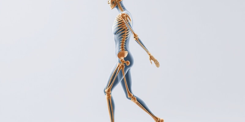 Movement Science Week 3 - Kinesiology Principles and Mechanics of Human Movement