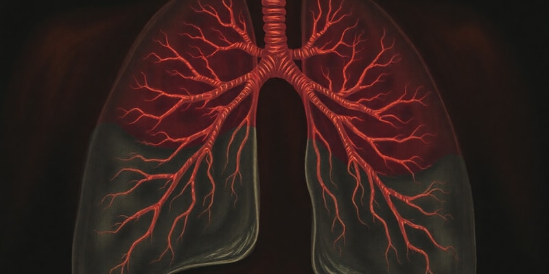 Gas Exchange Properties and Alveoli