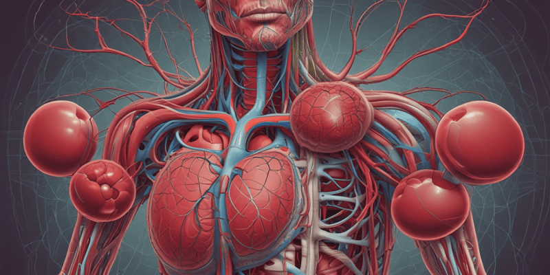 Circulatory System Basics