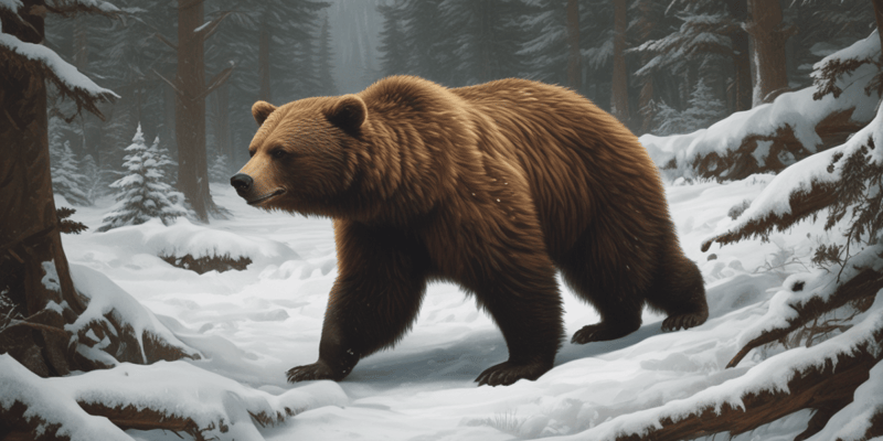 Bear Behavior Quiz