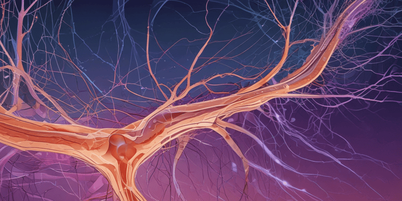 Peripheral Nerves and Axons Quiz
