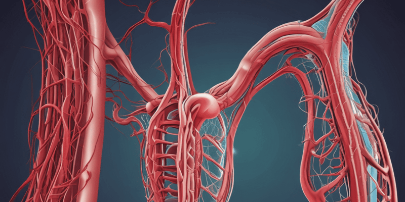 Peripheral Vascular System Assessment