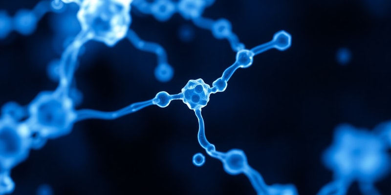 Molecular Biology: PCR and Lac Operon Quiz