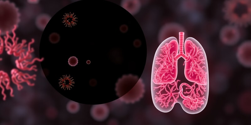 Anaerobic and Aerobic Respiration