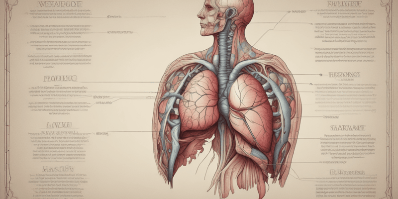 Anatomy and Functions of the Liver