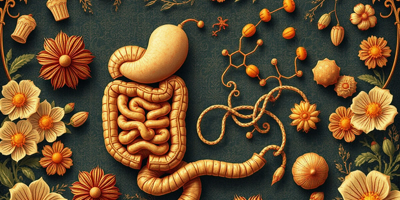 Carbohydrate Digestion Overview