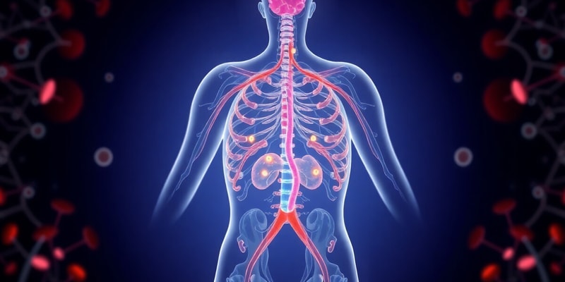 Endocrine System Overview