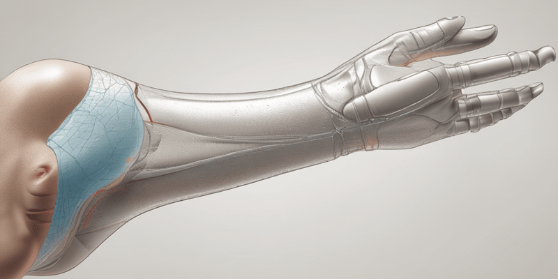 Orthotics and Prosthetics: Shoulder Immobilization Devices