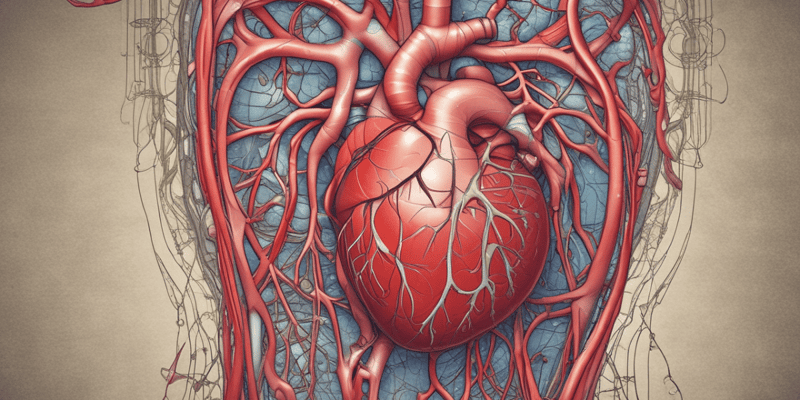 Cardiovascular System: Blood Anatomy and Physiology