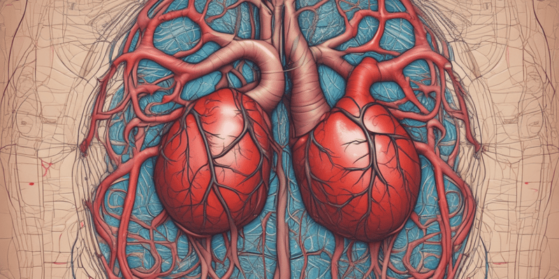 Cardiovascular System Overview