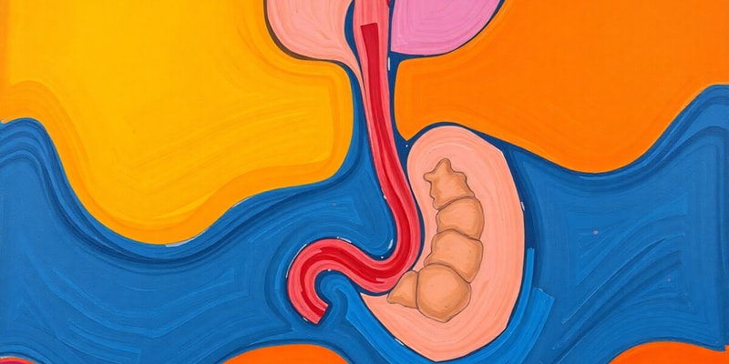 Upper GI System Disorders: Dysphagia Overview