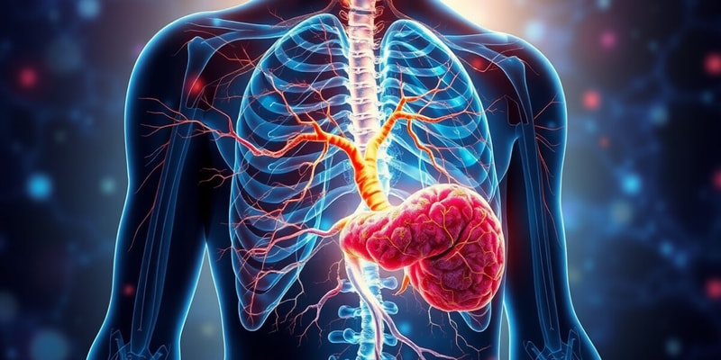 Chapter 15: Autonomic NS Flashcards