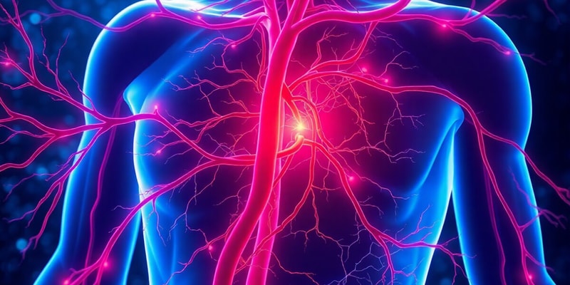 Cell biology - Endothelial Cells