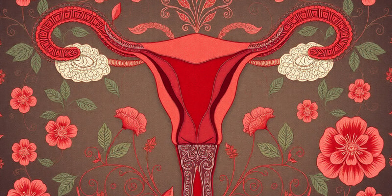 Ciclo Menstrual: Fases y Hormonas