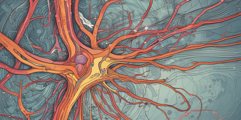 Neural Pathways of Taste