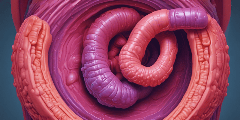 Ulcerative Colitis Overview