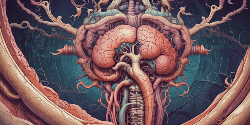 Digestive and Nervous System