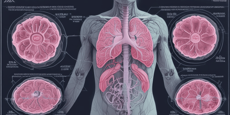 Respiratory Anatomy – Mechanics of Breathing 1.4