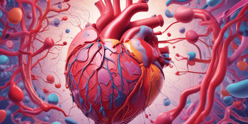 Cardiac Function and Regulation Quiz