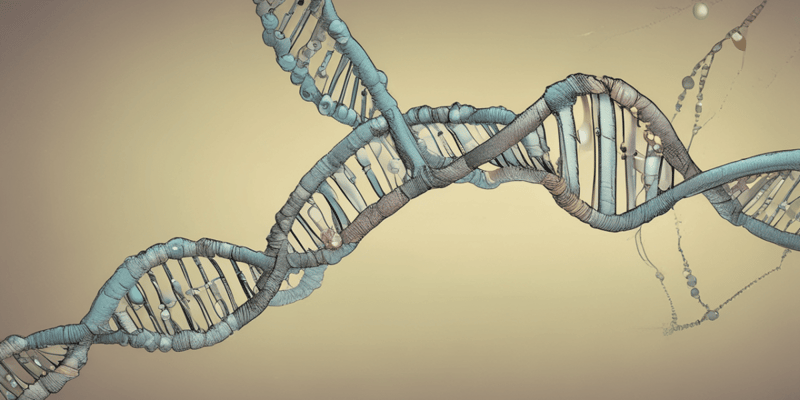 DNA Repair Mechanisms Quiz