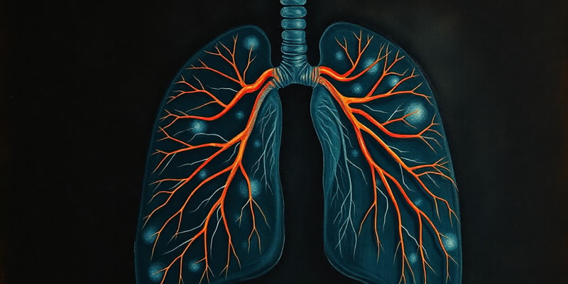 Respiratory System Overview