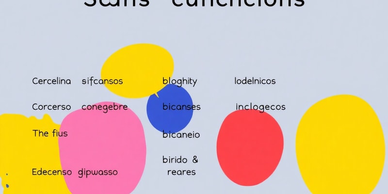 Spanish Conjugation and Grammar Basics