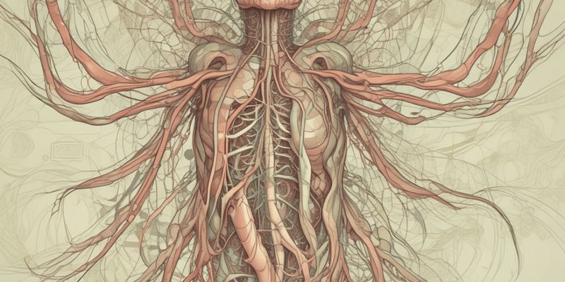 Lymphatic System Functions