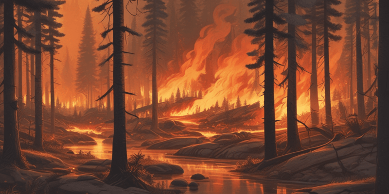Comportamiento del Fuego Forestal: Tipologías de Incendio