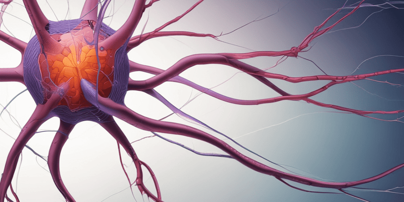 Nervous System Histology: Neuron Structure