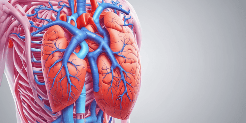 Pulmonary Circulation and Respiratory Membrane Quiz