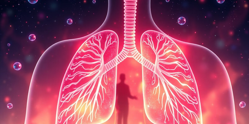 Beta 2 Receptor Agonists Overview