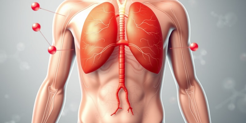 Fisiologia Humana: Sistema Endócrino