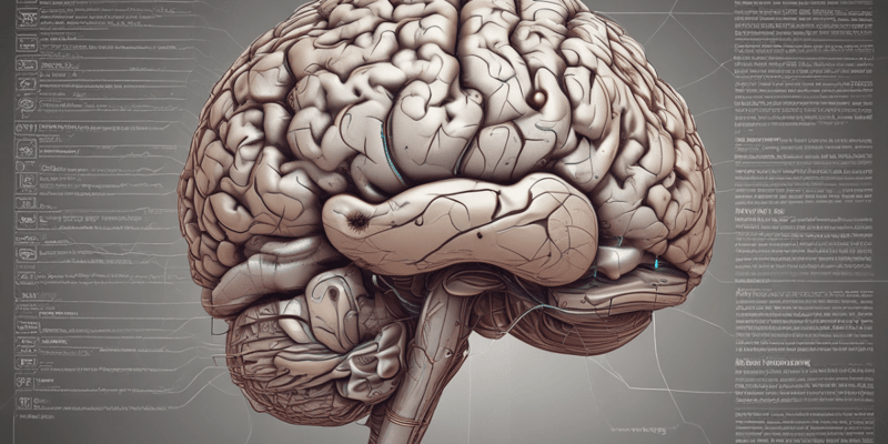 Brain Anatomy: Mid-Sagittal and Coronal Views